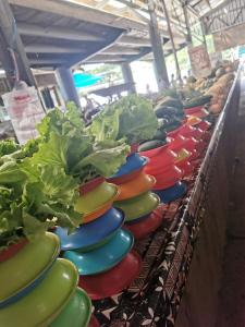 Galería fotográfica de Lavusa en Nadi