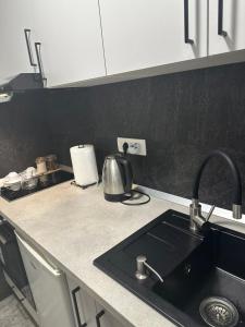 a kitchen counter with a sink and a tea kettle at Perfect place 4 Djenovici in Đenovići +14 photos