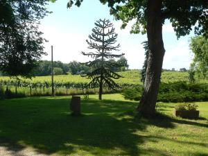 Lagraulet-du-GersにあるHouresの墓地のある公園の中の木