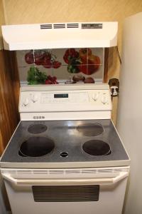 Oak ParkにあるBeautiful, Cozy Stay in Oak Park, Queen Bedroom, Work Setup & Backyard Grillのキッチンのコンロと野菜