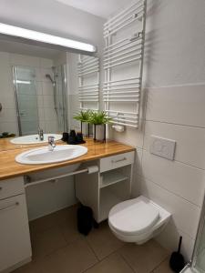 Koupelna v ubytování Ferienwohnung Alpenruhe mit Pool & Sauna