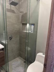 a bathroom with a glass shower with a toilet at Hermoso Apartaestudio LOFT in Bogotá +16 photos