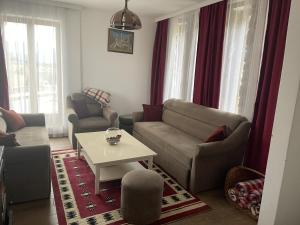 Gallery image of Villa e Zanës in Boge +6 photos