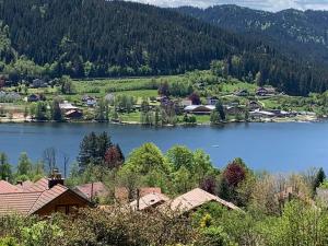 a view of a lake with a town and trees at Chalet chaleureux à Gérardmer, vue pistes, 4 pers. - FR-1-589-371 in Gérardmer