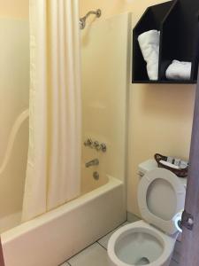 ein Badezimmer mit einem WC, einer Badewanne und einer Dusche in der Unterkunft Ozark Inn in Mena