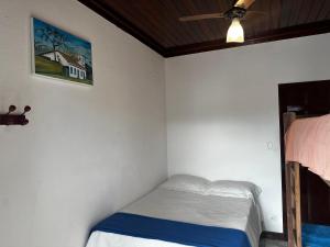 a bedroom with a bed and a painting on the wall at Casa Para-ti in Paraty