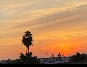 a palm tree in front of a sunset at Sunset rooftop Rabat Sale Airport in Sale