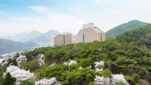 丹阳Sono Belle Danyang的樱花树环绕的山丘上的一组建筑