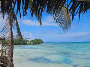 Příroda nedaleko penzionu