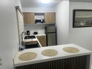 - une petite cuisine avec un comptoir dans une chambre dans l'établissement Tanki flip Property 2, à Noord