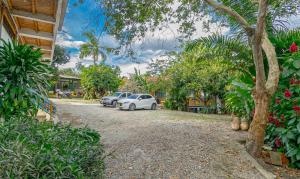Un par de coches estacionados en un patio con árboles. en Eco Hotel las Palmas, en Armenia