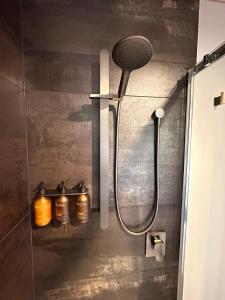 a shower with a shower head in a bathroom at Beaks and Feathers Boutique Accommodation on Stewart Island in Stewart Island +24 photos