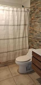 ハンガ・ロアにあるTe Maori Houseのトイレとシャワーカーテン付きのバスルーム +27枚の写真