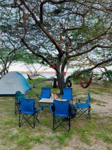 a group of chairs and a table and a tent at Yala Oruwella Beach Camping & Restaurants in Tissamaharama