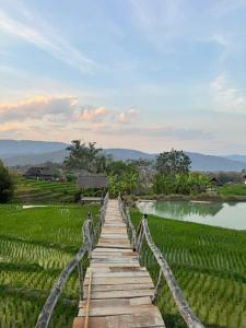 a wooden bridge over a field with a lake at ເຂົ້າໜຽວຟາມສະເຕ-Kao Niaw Farmstay in Luang Prabang