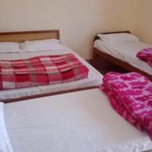 two beds in a small room with two beds at Dana Pani Homestay by StayApart in Ukhimath +4 photos