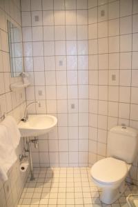 a bathroom with a toilet and a sink at Hotel Oorsprongpark in Utrecht
