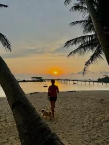 a person walking a dog on the beach at sunset at WIldFlower in General Luna
