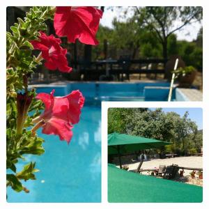 un collage de dos fotos de flores junto a una piscina en Valdolázaro, en Los Navalucillos