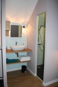 uma casa de banho com um lavatório e um chuveiro em le petit boudoir em Annet-sur-Marne