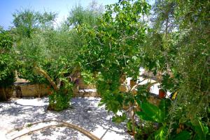 a garden with trees and snow on the ground at Gerakari Thalassa Studios in Kypseli