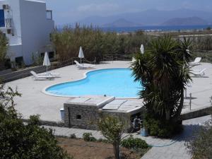 a large swimming pool with two chairs and a palm tree at Nikoletta Studios in Agios Prokopios