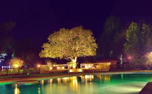 Der Swimmingpool an oder in der Nähe von Hotel Pucon Green Park