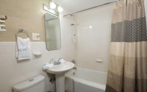 een badkamer met een wastafel, een toilet en een douche bij Karens Cozy Cottage in Gatlinburg +25 foto's