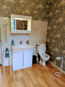 a bathroom with a sink and a toilet at Domaine de Launay blot in Baguer-Morvan +37 photos