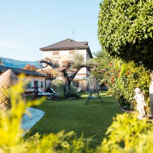 Zahrada ubytování Hotel Traube