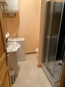 een badkamer met douche, wastafel en toilet bij Val-locations thermes 5 in Le Mont-Dore