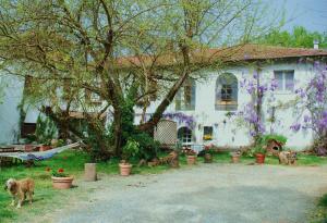 a house with a dog standing in front of it at Bed & Breakfast Cascina Cin Cin in Novi Ligure