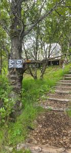 Φωτογραφία από το άλμπουμ του Eyja Mork - Aurora Igloo with shared Hot Tub, BBQ and kitchen - B2 σε Stora Mork