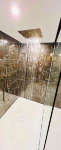 a bathroom with a shower with a shower at La Suite Saint Roch in Villeréal +3 photos