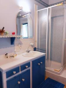 un bagno con lavandino e doccia di La Pichardière a Montsûrs Altre 36 foto