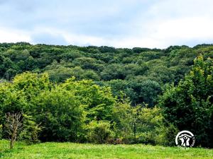 a sign in the middle of a field with trees at Chalet 26 Le Berthevin, Camping de Coupeau, 4 personnes in Saint-Berthevin