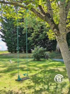 een schommel in het gras naast een boom bij Les gallinettes in Neuilly-le-Vendin