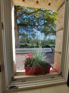 a window with two potted plants in a yard at Le Moulin de Gratte Sac in Voutré