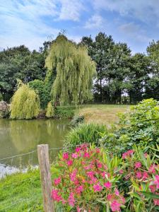 Naturlandskabet i nærheden af feriehuset