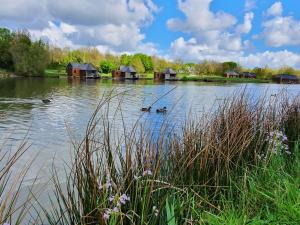 Příroda nedaleko prázdninového domu