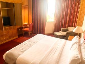 a hotel room with a large bed and a television at Parkview Hotel in Kampong Jerudong