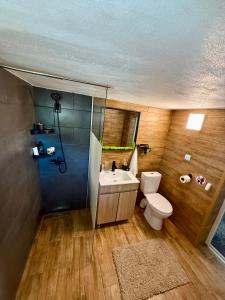 Bilik mandi di BraziHouse - pine escape with jacuzzi