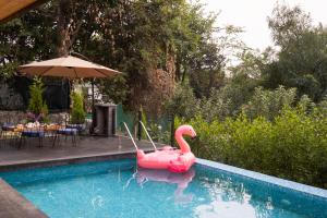 Gallery image of Maple house Hillside 3-BHK Without Pvt Pool & Open Pizzeria in Kangra