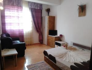 a bedroom with a bed and a couch and a tv at Samaya in Agigea