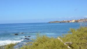 un grupo de elefantes en el agua en una playa en El BAJIO Nr 6, en Valle Gran Rey