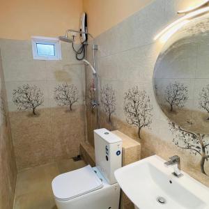 a bathroom with a toilet and a sink and a mirror at Kandy Villa Grey in Talatuoya +18 photos