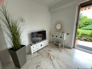 a living room with a television and a potted plant at Ferienwohnung Brissago in Brissago
