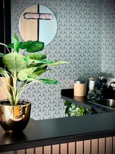 a potted plant sitting on top of a counter at Pool House 85 in Spa