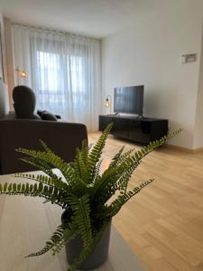 a green plant in a living room with a couch at AT home Santo Domingo in Guadalajara