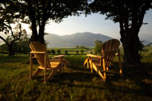 zwei Holzstühle im Gras unter einem Baum in der Unterkunft Baluardo Boutique Apartments in Clusane sul Lago + 49 Fotos